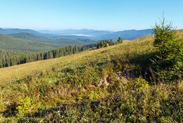 Zomer bergzicht (Karpaten, Oekraïne). — Stockfoto