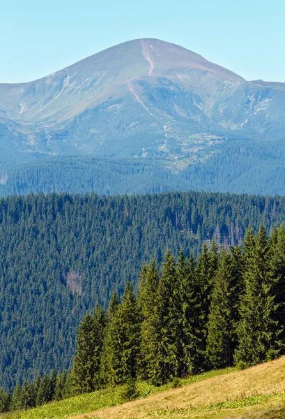 Estate vista sulle montagne (Carpazi, Ucraina ). — Foto Stock