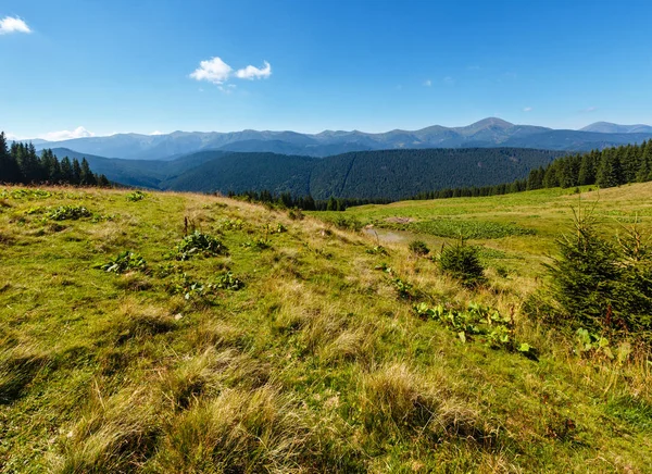 Verano vista a la montaña (Cárpatos, Ucrania ). — Foto de Stock