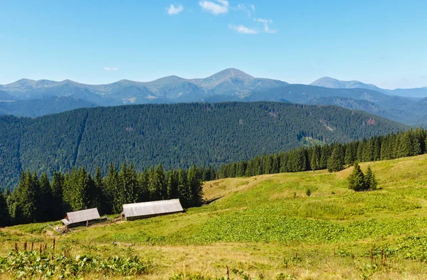 Yaz dağ manzarası (Karpat, Ukrayna). — Stok fotoğraf