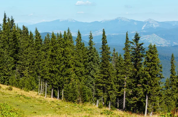 Verano vista a la montaña (Cárpatos, Ucrania ). — Foto de Stock