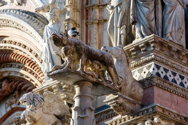 Catedral de Siena esculturas, Toscana, Italia — Foto de Stock