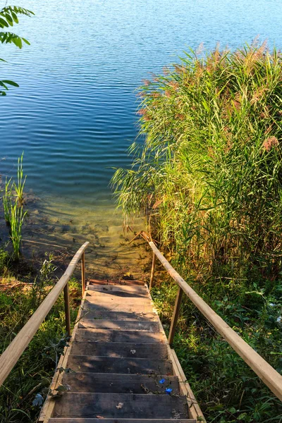ग्रीष्मकालीन झील पानी की ओर लकड़ी के कदम के साथ शांत समुद्र तट — स्टॉक फ़ोटो, इमेज