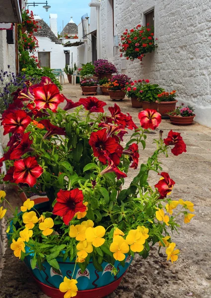 Fleurs sur la rue à Alberobello, Italie — Photo
