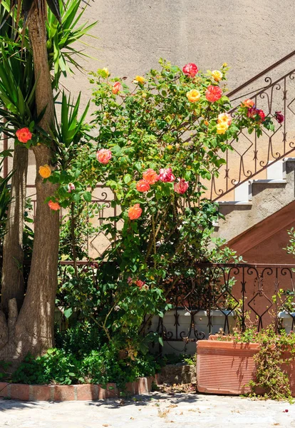 Erice street, Szicília, Olaszország — Stock Fotó