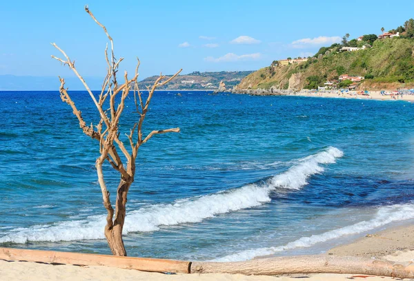 Ke pohon di pantai laut, Calabria, Italia — Stok Foto