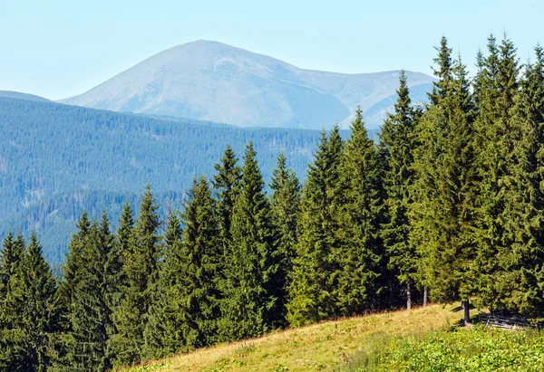 Вид на горы летом (Карпаты, Украина) ). Стоковая Картинка
