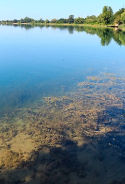 Yaz göl sakin rushy kıyısı.