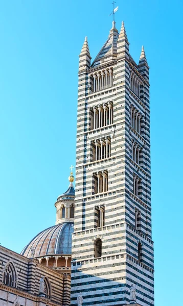Siena Katedra dzwonowa wieża, Toskania, Włochy — Zdjęcie stockowe