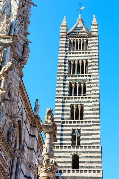 Siena katedrális bell tower, Toszkána, Olaszország — Stock Fotó