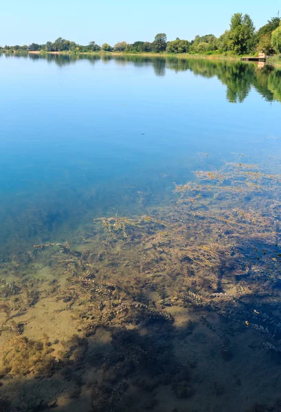 Lago de verano calma orilla apresurada . —  Fotos de Stock