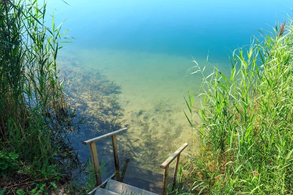 여름 호수 평온한 해변 나무 물 steeps — 스톡 사진