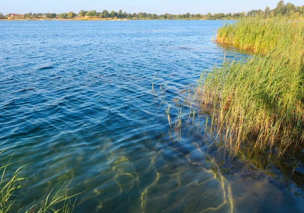 Lac d'été calme côte rushy . — Photo