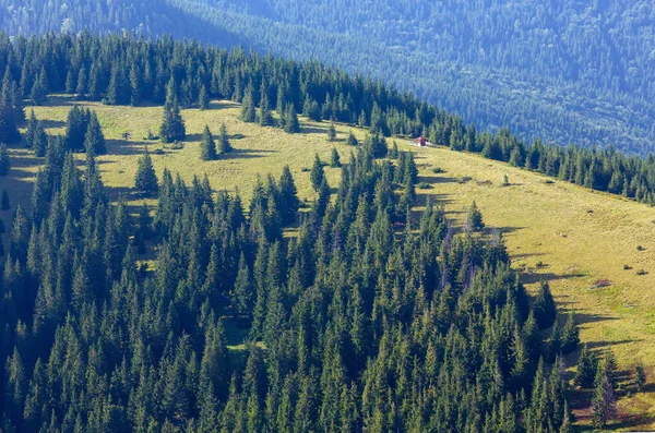 Yaz Karpat Dağ Manzaralı