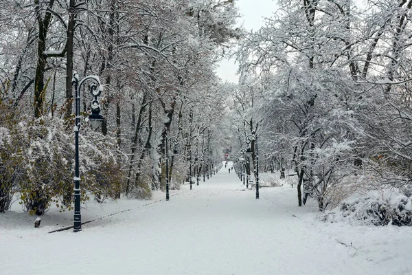Parco invernale nella città di Leopoli, Ucraina — Foto Stock