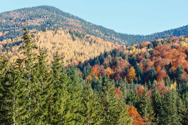 Cárpatos de otoño (Ucrania ). — Foto de Stock