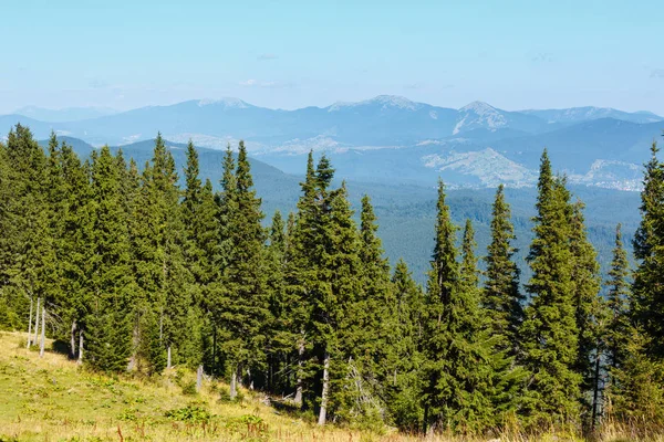 Sommaren bergsutsikt (Karpaterna, Ukraina). — Stockfoto