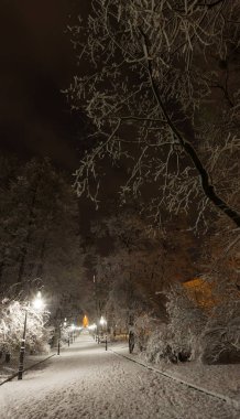 Gece kış Ivan Franko park geçit Lviv, Ukrayna