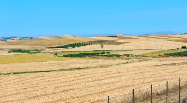 Sicile campagne agricole d'été, Italie — Photo