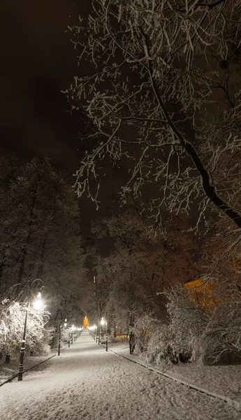 夜冬リヴィウ、ウクライナのイヴァン ・ フランコーの公園の通路 — ストック写真