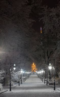 Gece kış Ivan Franko park geçit Lviv, Ukrayna