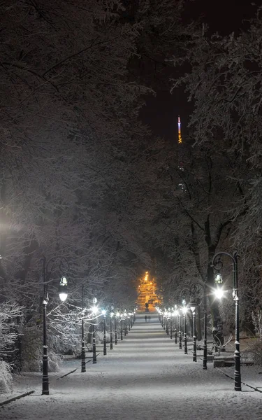 Зимові ночі алея парку Івана Франка у Львові — стокове фото