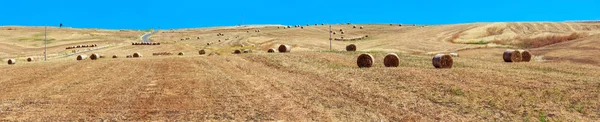 Sizilien Sommer Landwirtschaft Landschaft, Italien. — Stockfoto