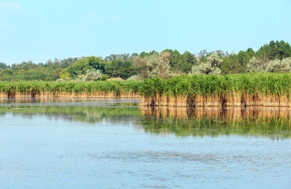 Summer iodine lake with a therapeutic effect thanks to the high — Stock Photo, Image