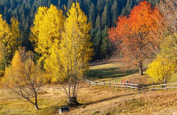Rano jesień krajobraz Karpat. — Zdjęcie stockowe