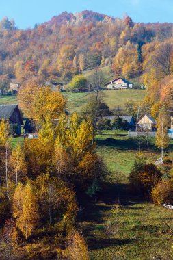 Sonbahar Karpat Dağları, Ukrayna