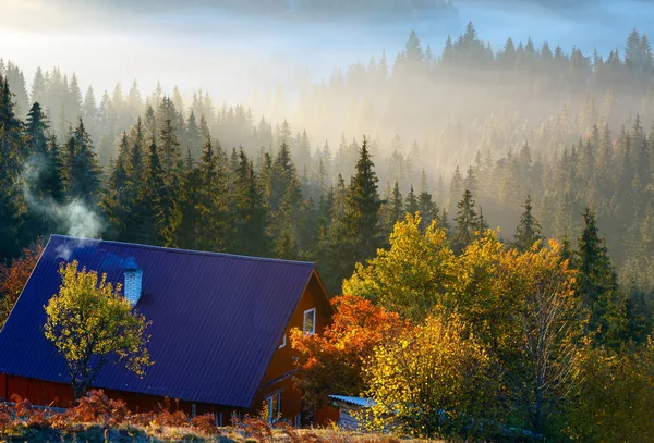 Vroege ochtend mistig herfst Karpatische bergen, Oekraïne. — Stockfoto