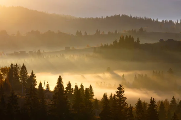 Die ersten Sonnenstrahlen des Sonnenaufgangs in den Karpaten. — Stockfoto