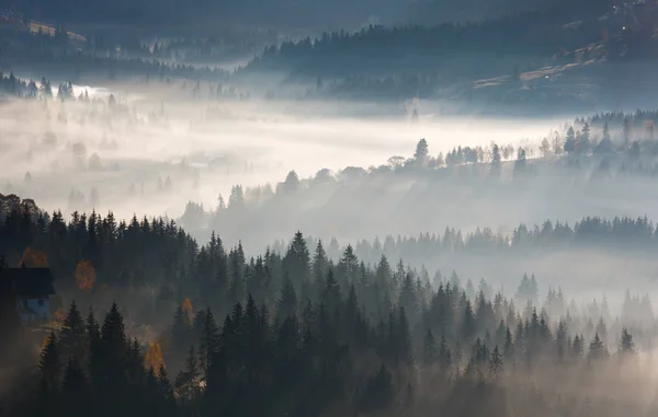 Die ersten Sonnenstrahlen des Sonnenaufgangs in den Karpaten. — Stockfoto