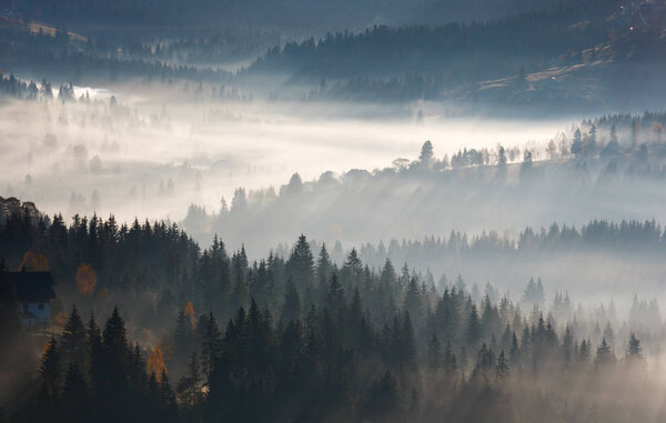 First sunrise rays of sun in Carpathian mountains.