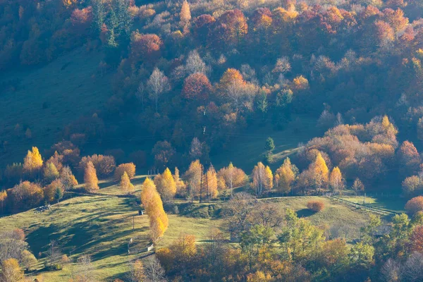 Otoño Cárpatos montañas, Ucrania —  Fotos de Stock