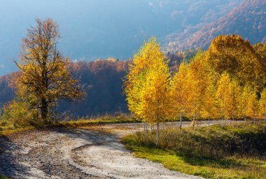 Kirli ikincil yol sonbahar Karpat dağ, Ukrayna 