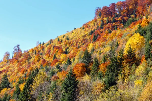 Autumn Carpathians (Ukraine). — Stock Photo, Image