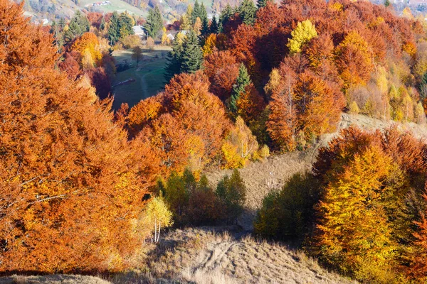 Jesień Karpackie góry, Ukraina — Zdjęcie stockowe