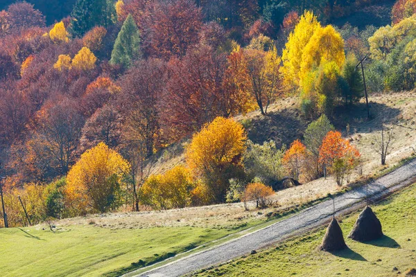 Schmutzige Nebenstraße im Herbst Karpaten Berg, Ukraine — Stockfoto