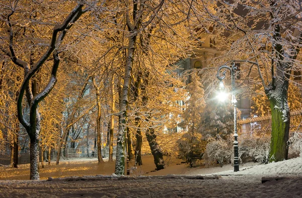 Natt vinter Ivan Franko park i Lviv, Ukraina — Stockfoto