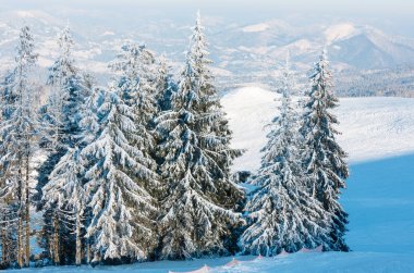 Kış karlı dağ manzarası