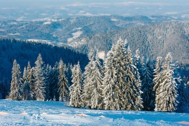 Kış karlı dağ manzarası