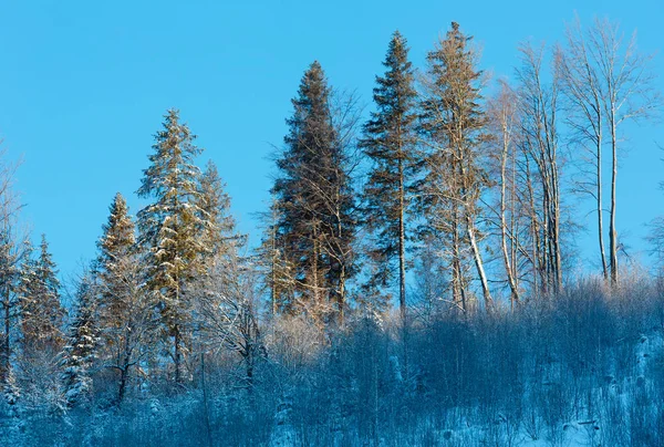Vroege ochtend berg besneeuwde winterlandschap — Stockfoto