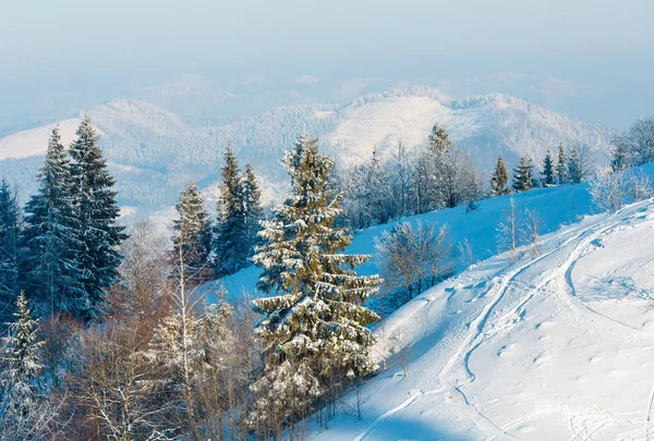 Hiver montagne paysage enneigé — Photo