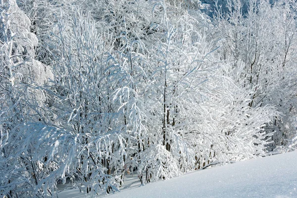 Berg besneeuwde winterlandschap — Stockfoto