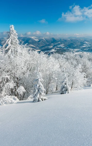 Mountain snöiga vinterlandskap — Stockfoto