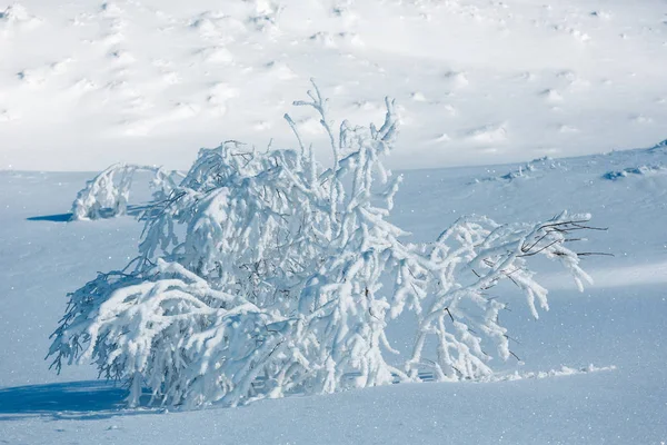 Hiver montagne paysage enneigé — Photo