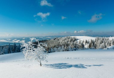 Kış karlı dağ manzarası