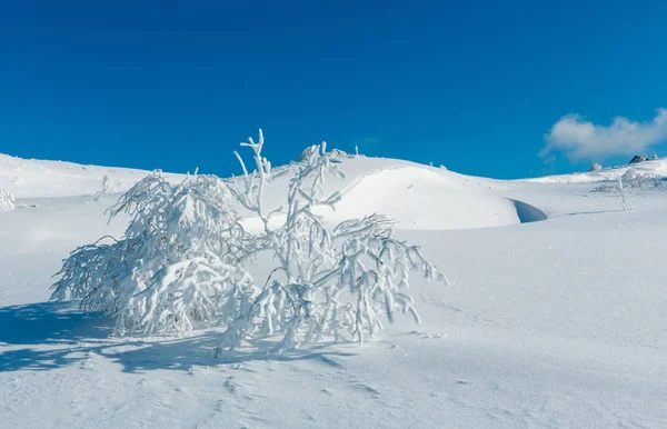 Zima góry snowy krajobraz — Zdjęcie stockowe