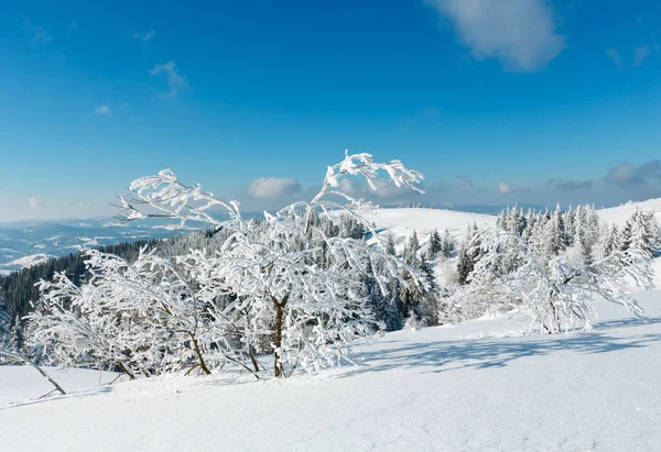 Invierno montaña nevado paisaje —  Fotos de Stock